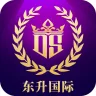 东升国际